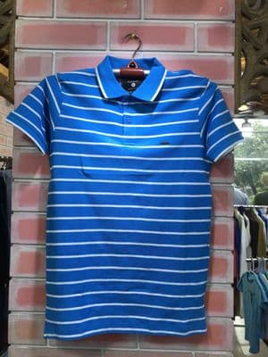 Men's Blue & White Stripe Polo T-Shirt | 100% Cotton | Casual Wear | Palli_img_1