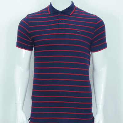 Men's Red & Blue Stripe Polo T-Shirt | 100% Cotton | Breathable Summer Wear | Palli_img_2