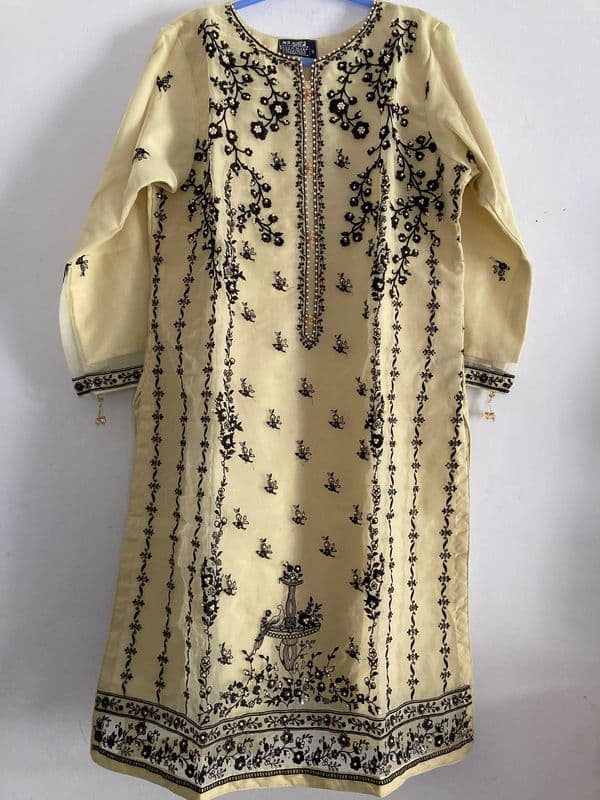 Embroidered Women's One-Piece - Soft Peach- Organza